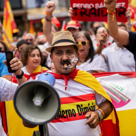 Pedro Sánchez Dimisión