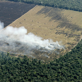 Vista aérea de la deforestación de la Amazonia