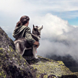 Según este estudio, el origen del perro habría tenido lugar hace 20.000 años.