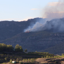 Imatge d'una part de l'incendi de Cabacés, des de Gratallops