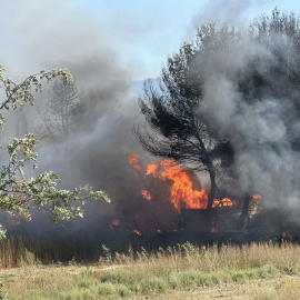 Un foc que crema a Rivesaltres, al Roselló.