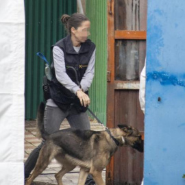 Una agente de la Unidad Operativa de la Guardia Civil busque con ayuda de una perro pistas de los temporeros desaparecidos en Villacarrillo, Jaén.