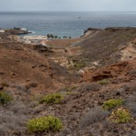 El Gobierno de Canarias paraliza de forma cautelar las obras del macroproyecto turístico de Cuna del Alma por la presencia de la viborina triste