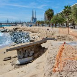 La frágil costa catalana busca soluciones en la naturaleza para paliar los impactos del cambio climático