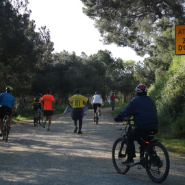 Ciclistes i persones caminant a la carretera de les Aigües, al Parc Natural de Collserola.