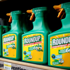 El glifosato, que comunmente se comercializa bajo la marca Roundup. REUTERS