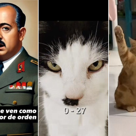 Capturas de TikTok de un 'deepfake' de Franco y dos gatos haciendo apología nazi.