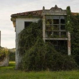 La vida que nace del abandono: entre ruinas de fábricas y casas