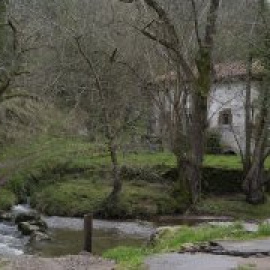 En uno de los últimos molinos en activo de Cantabria: así ha sobrevivido moliendo maíz durante más de un siglo