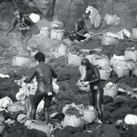 Mujeres buceadoras de Jeju, en 1974.