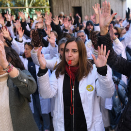 Varios manifestantes exigen la mejora de la Atención Primaria en la Sanidad Pública, frente a la Asamblea de Madrid, a 1 de diciembre de 2022, en Madrid (España).