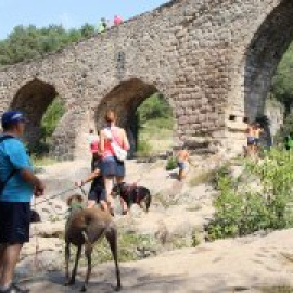 Creixen les denúncies al medi natural, especialment per l'accés amb vehicles a espais protegits