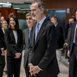 El rey Felipe VI. A. Pérez Meca / Europa Press