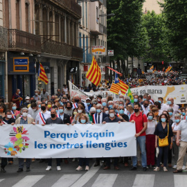 Pla general de la manifestació a Perpinyà per demanar que no es canviï la llei que protegeix el català a França.