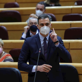 El presidente del Gobierno, Pedro Sánchez, durante la sesión de control al Gobierno en el pleno del Senado.