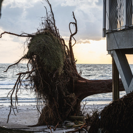 efectos devastadores del huracán Helene