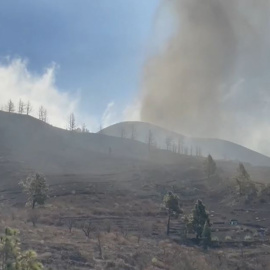 Evacuaciones en La Palma: así se ayuda a quienes tienen que abandonar sus casas