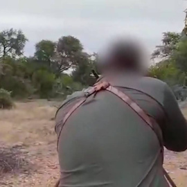 Así asesinan indiscriminadamente a elefantes en el Parque Nacional Kruger (Sudáfrica).