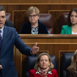 Sánchez asume en el Congreso que la democracia española es "imperfecta"