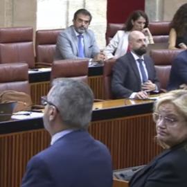 Los diputados de Vox durante el minuto de silencio por el naufragio con 54 muertos en El Hierro en el Parlamento andaluz, a 3 de octubre de 2024.