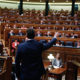 21/12/2022.- El presidente del Gobierno, Pedro Sánchez (de espaldas), interviene durante la sesión de control celebrada, este miércoles, en el Congreso de los Diputados. EFE/ Juan Carlos Hidalgo