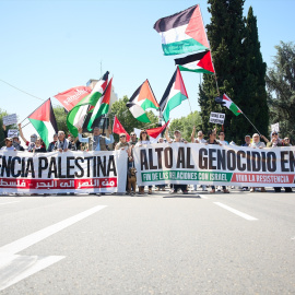 Decenas de personas con pancartas y banderas apoyan a Palestina durante la manifestación en ocasión del aniversario de la la Nakba de 1948, el 11 de mayo de 2024, en Madrid.