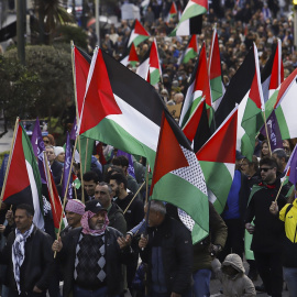 Varios manifestantes pro palestinos fueron detenidos y reducidos duramente por la policía nacional en la manifestación que tuvo lugar en Santiago el pasado sábado