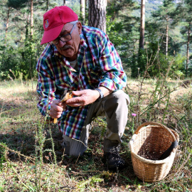 Un boletaire buscant rovellons al Berguedà Nia Escolà