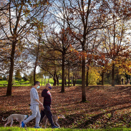 Vista del Parque de Invierno de Oviedo.