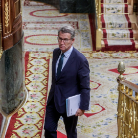 El presidente del PP, Alberto Núñez Feijóo, durante la sesión de control al Gobierno celebrada en el Congreso el miércoles.