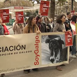 Manifestaciones en toda España contra la exclusión de los perros de caza de la ley de Bienestar Animal