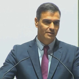 Pedro Sánchez, sobre las elecciones alemanas: "Triunfó la revolución del respeto"