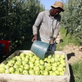 Més treballadors pobres: una de cada quatre persones que atén Càritas té feina