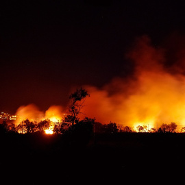 Incendio forestal en una imagen de archivo