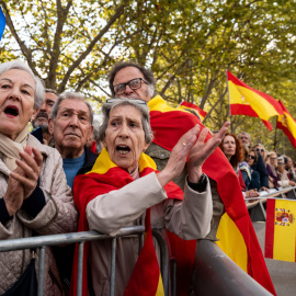 Manifestación contra el Gobierno en Madrid