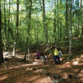 Set propostes per descobrir la terra volcànica de la Garrotxa