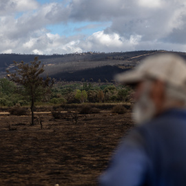 Un hombre mira el estado de la zona de Cabañas de Aliste tras el incendio sofocado hace dos días e iniciado el pasado día 15 en la Sierra de la Culebra, a 21 de junio de 2022, en Cabañas de Aliste, Zamora.