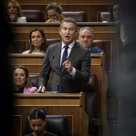 El presidente del PP, Alberto Núñez Feijóo, interviene durante una sesión de control al Gobierno, en el Congreso de los Diputados, a 16 de octubre de 2024.