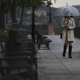 Lluvia Toledo