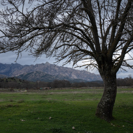 Paisaje de la sierra de Madrid sin nieve a 21 de diciembre de 2022