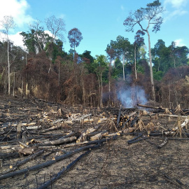 La deforestación ilegal en Brasil ha sufrido el peor mes de marzo de los últimos diez años. - ASCOM SEMAS PARÁ