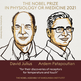 David Julius y Ardem Patapoutian, ganadores de Nobel de Medicina