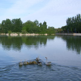 El parque de El Soto, en Móstoles