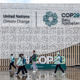 COP29