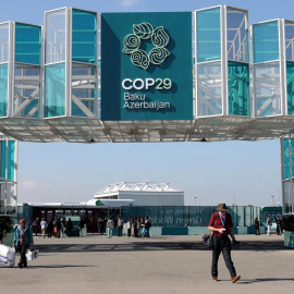 COP29