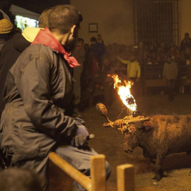 Celebración del Toro Jubilo en Medinaceli./ EFE