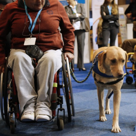 Una mujer discapacitada en silla de ruedas participa en una sesión de capacitación con un perro guía. AFP PHOTO