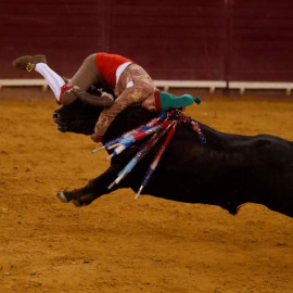 Una corrida de Forcados en Portugal. (REUTERS)