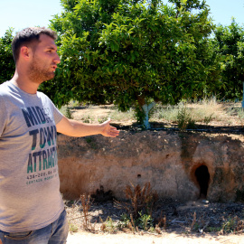 Òscar Navarro, pagès de la comarca del Montsià, s’ha arribat a trobar 200 forats provocats pels conills a la seva finca de cítrics. FOTO: Jordi Marsal