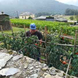 Agricultor en Miñagón